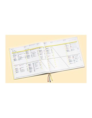 Speiko Patientenbestellbuch classic 2018 (gelb)