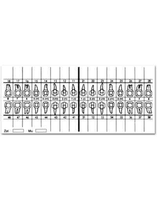 Spitta - Zahnschema klein - 100 Stk.